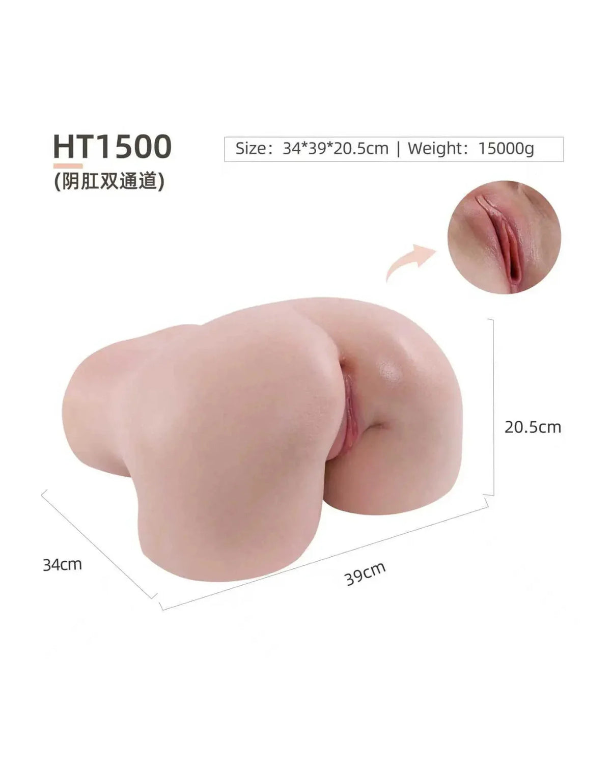 Dimensions of the HKD Realistic Silicone Big Ass Torso