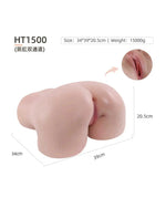 Dimensions of the HKD Realistic Silicone Big Ass Torso